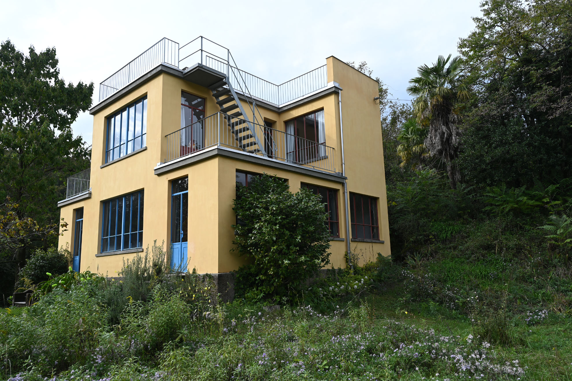 Casa Sciaredo, bewachsen von Paranatur