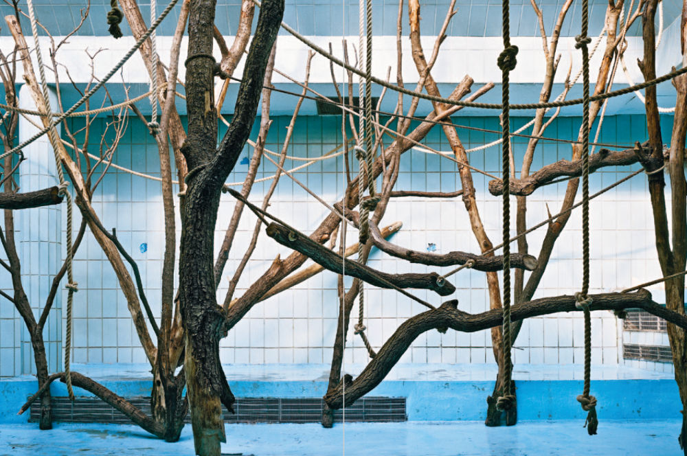 Bild zum Text von Georg Aerni