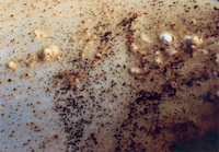 (Bild: geo-topografien)